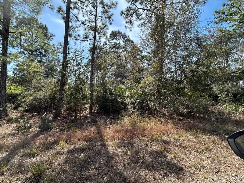 3420 WESTERN TANAGER ST #LT9, Lake Placid, FL 33852