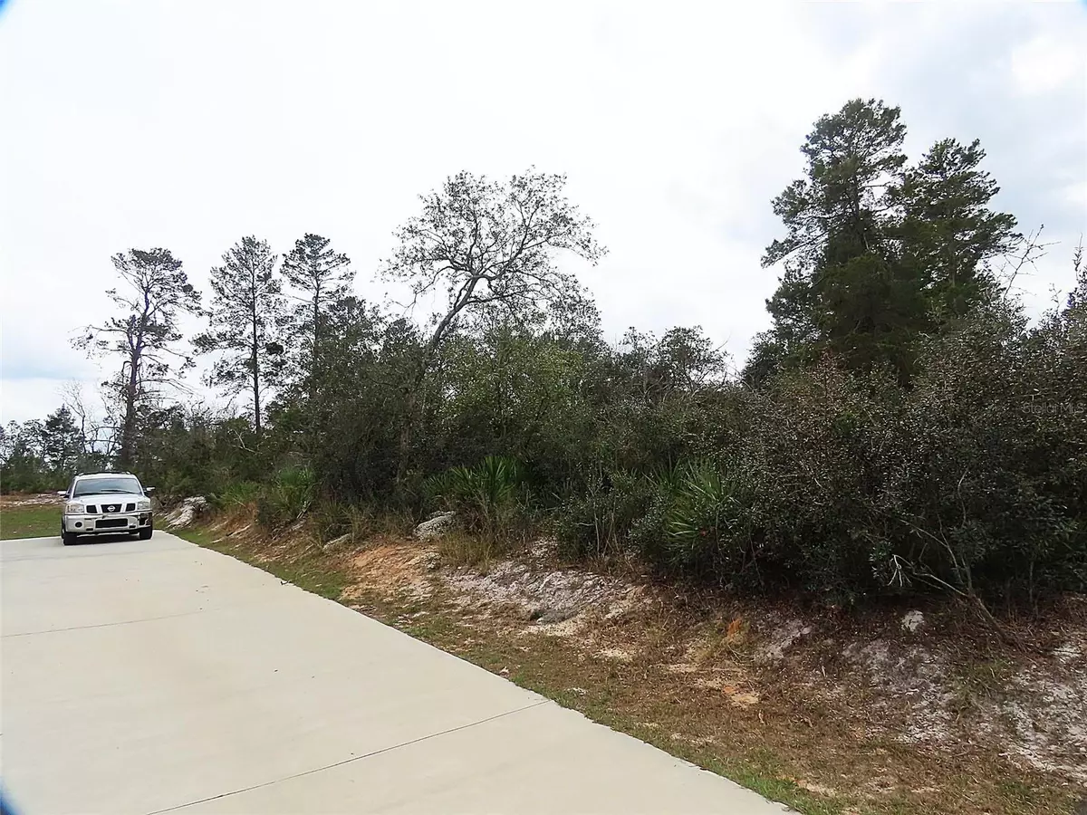 Kissimmee, FL 34759,71 ORCHID CT