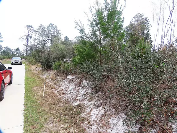 Kissimmee, FL 34759,71 ORCHID CT