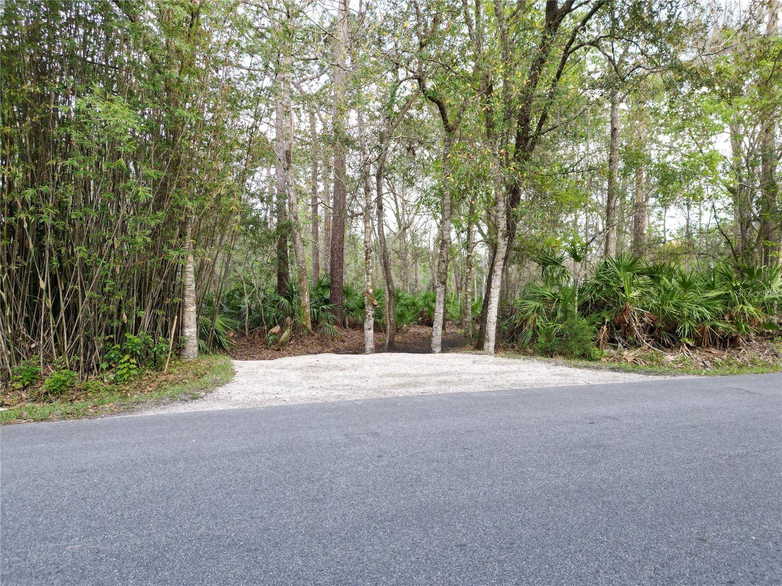FANNY BASS LN, St Cloud, FL 34772