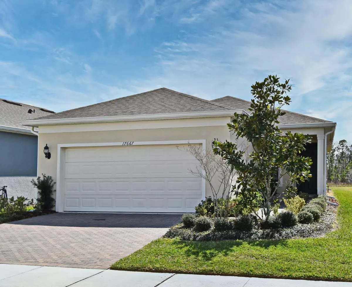 Clermont, FL 34714,17667 SAW PALMETTO