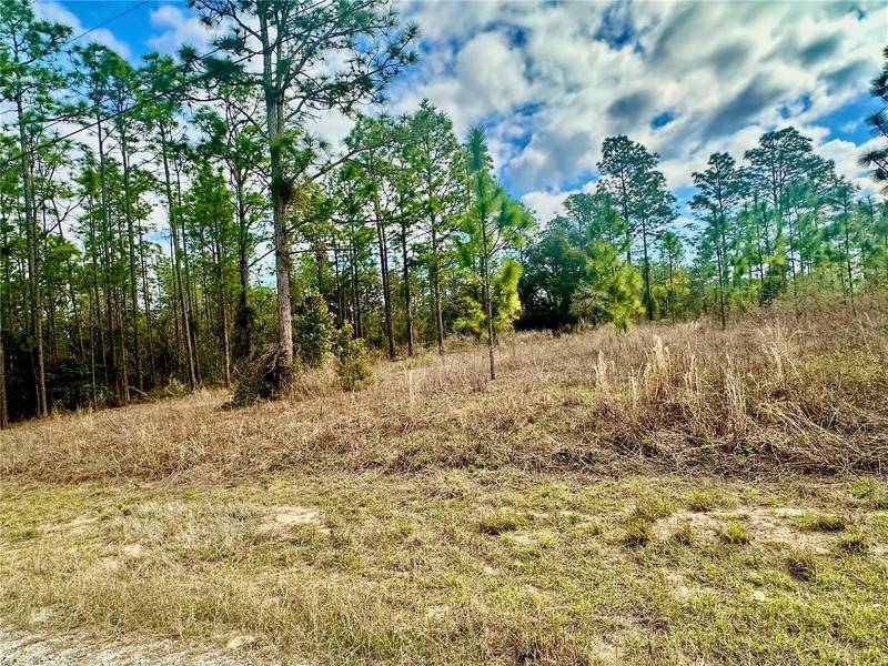 LOT 41 SE 131 TERRACE, Dunnellon, FL 34431