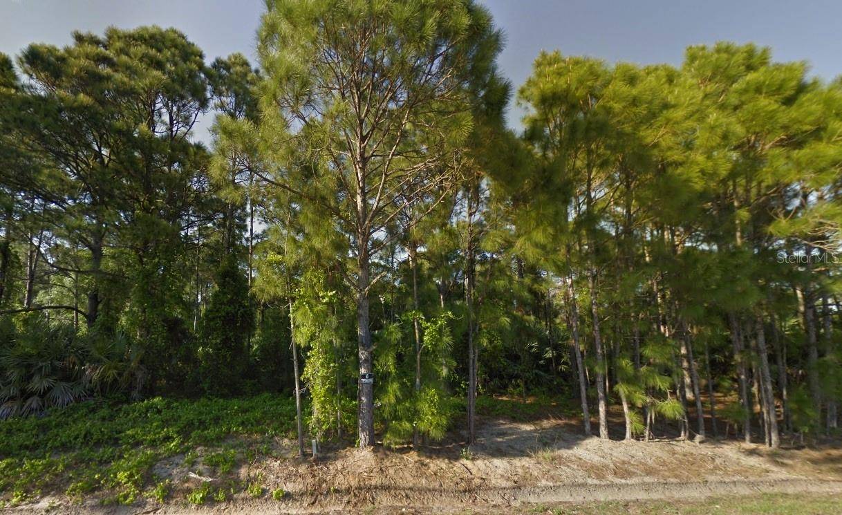 Palm Bay, FL 32907,1559 SARNIA ST NW