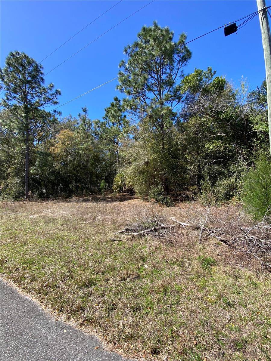 8630 N CATAPANE LOOP, Crystal River, FL 34428