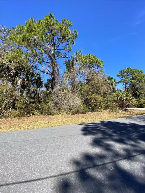 Crystal River, FL 34428,11357 W INDIAN WOODS PATH