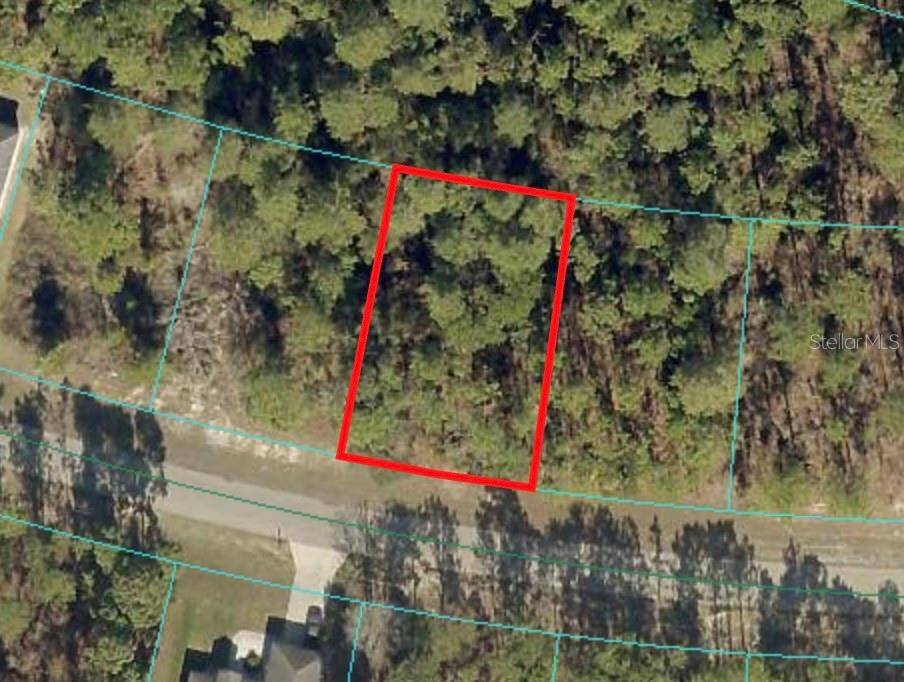 Ocala, FL 34473,Lot 6 SW 138TH STREET RD