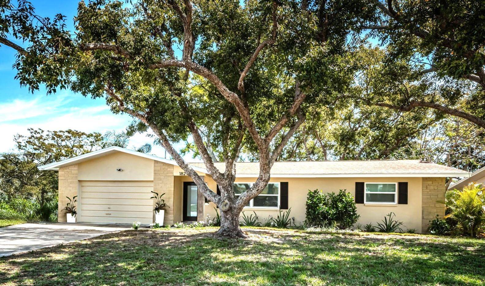 1825 ALBERTA DR, Clearwater, FL 33756