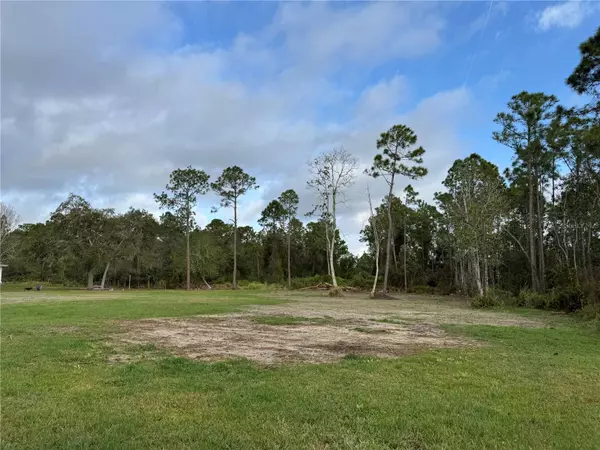 St Cloud, FL 34771,1955 MUSTANG CT