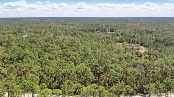 Mims, FL 32754,1185 GOPHER SLOUGH RD