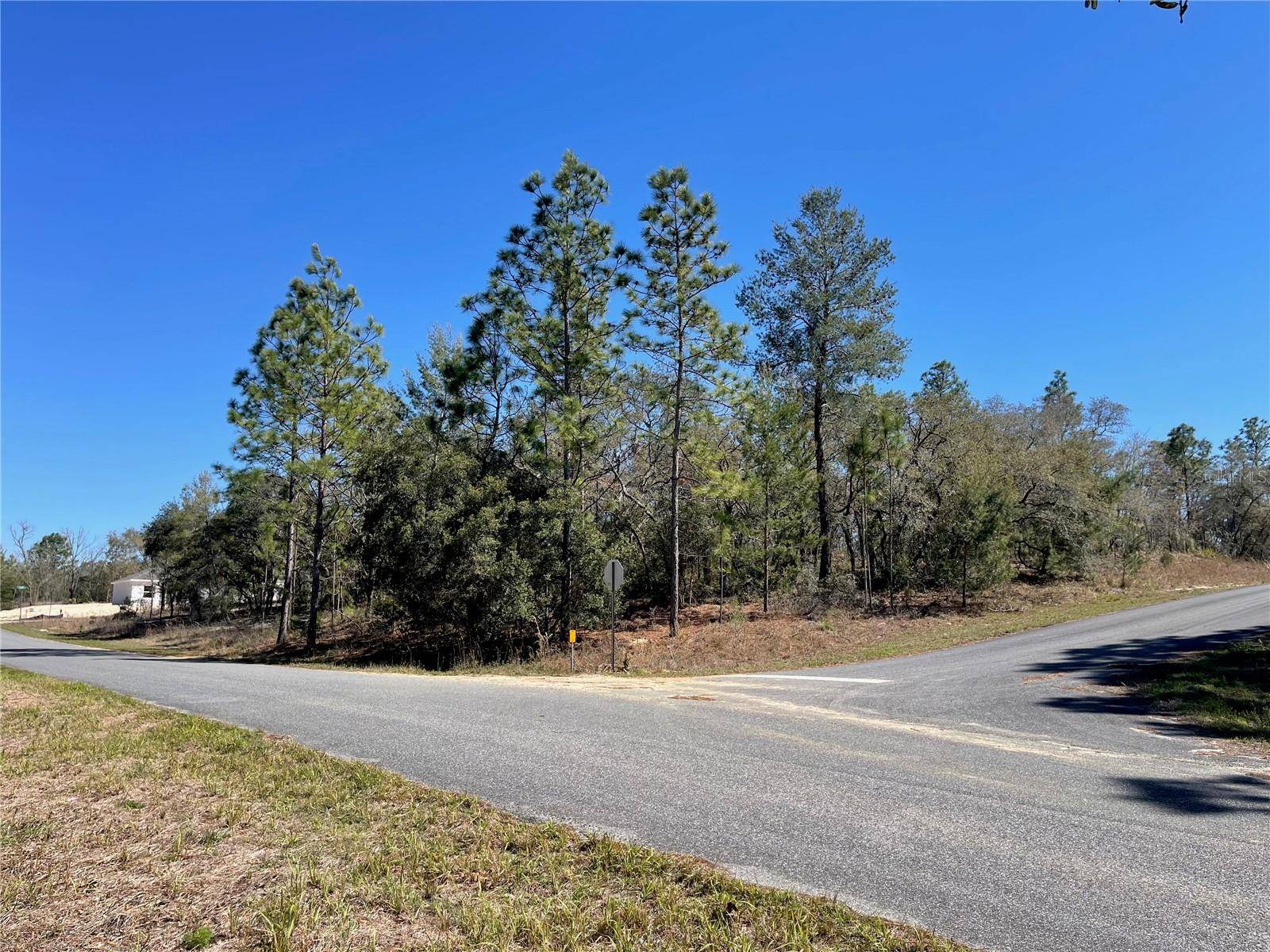 6715 N AIRMONT DR, Dunnellon, FL 34433