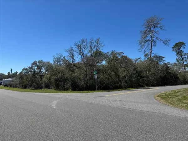 Ocala, FL 34473,LOT 1 BLOCK 829 MARION OAKS UNIT  5