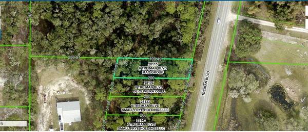 7029 TREIMAN BLVD, Webster, FL 33597