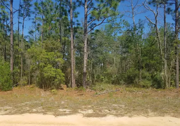 INTERLACHEN LAKES ESTATES UNIT #16, Interlachen, FL 32148