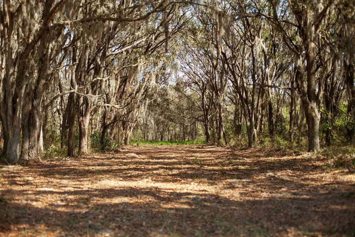Clermont, FL 34711,8000 PINE ISLAND RD