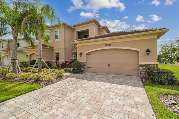 Wesley Chapel, FL 33543,2709 COCO PALM CIR