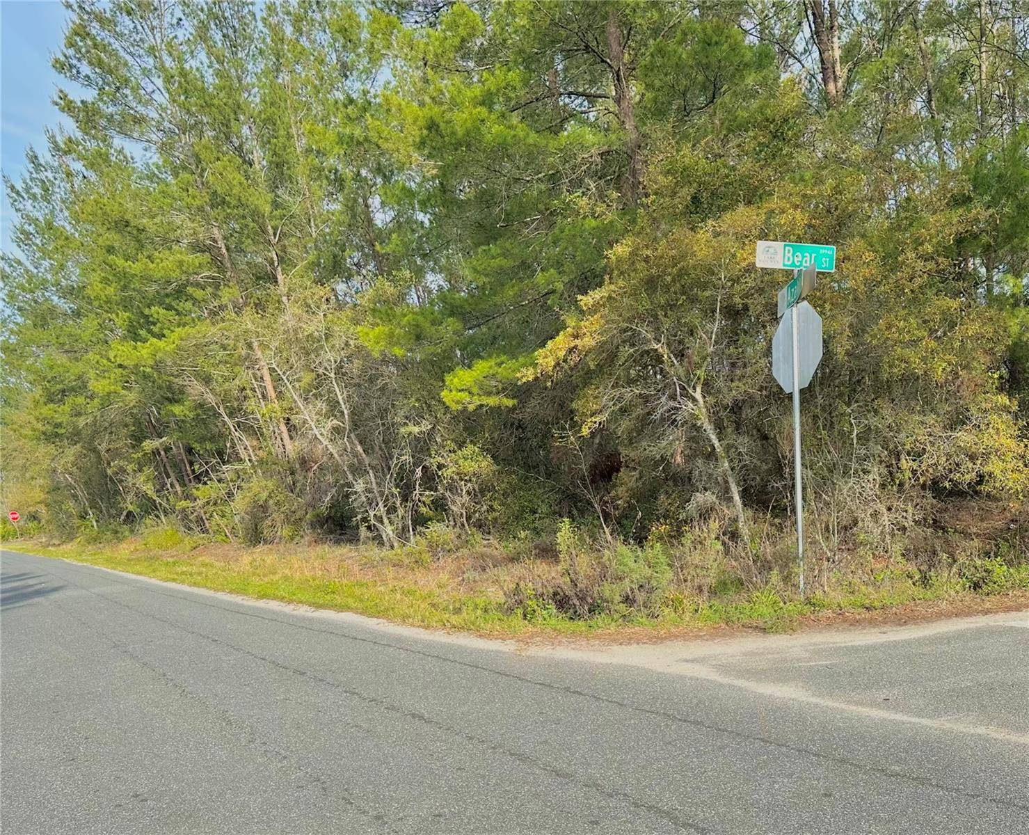 Paisley, FL 32767,AZALEA AVE