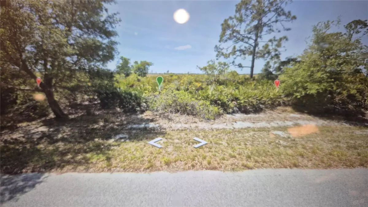 Lake Placid, FL 33852,377 CHRISTINE ST NW