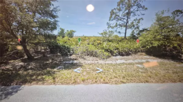 Lake Placid, FL 33852,377 CHRISTINE ST NW