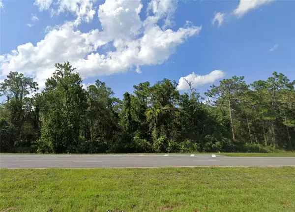 23725 E COLONIAL DR, Christmas, FL 32709