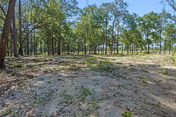 Eustis, FL 32736,29901 STATE ROAD 44