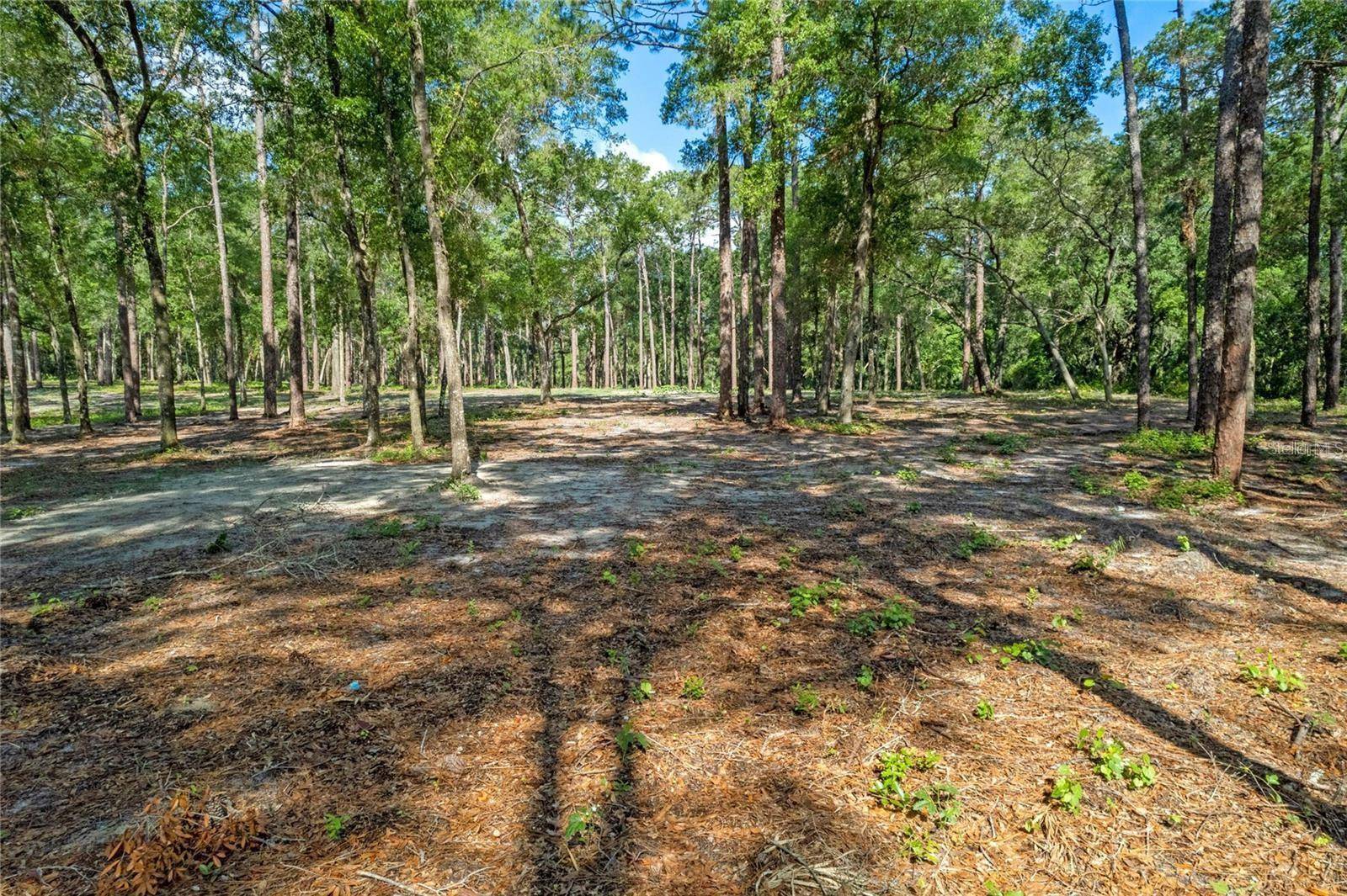 Eustis, FL 32736,29901 STATE ROAD 44