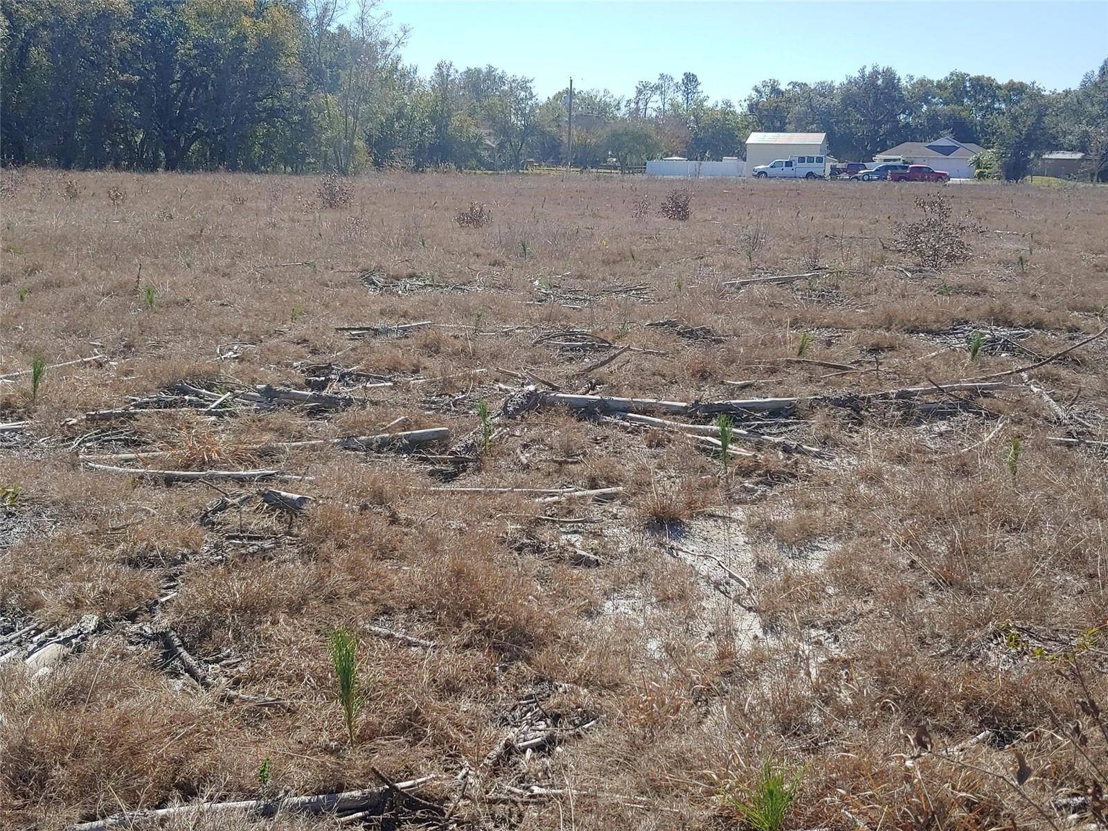 Plant City, FL 33566,TRAPNELL RD