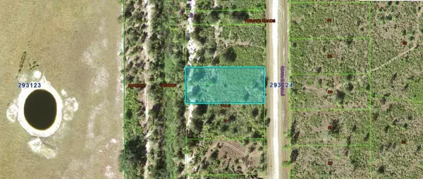 Indian Lake Estates, FL 33855,1251 PINNATA DR