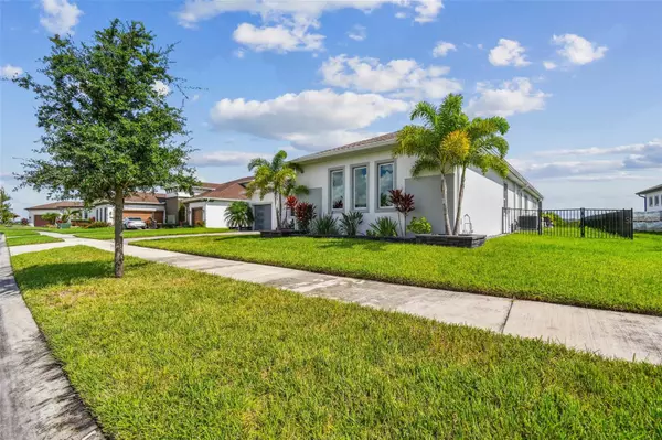 Wesley Chapel, FL 33545,8936 SANDERS TREE LOOP
