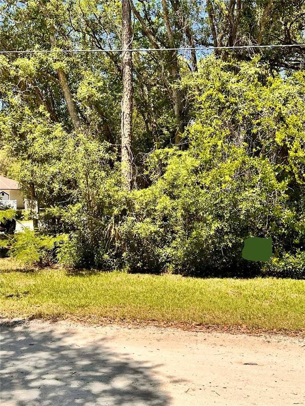12TH ST, Orange City, FL 32763