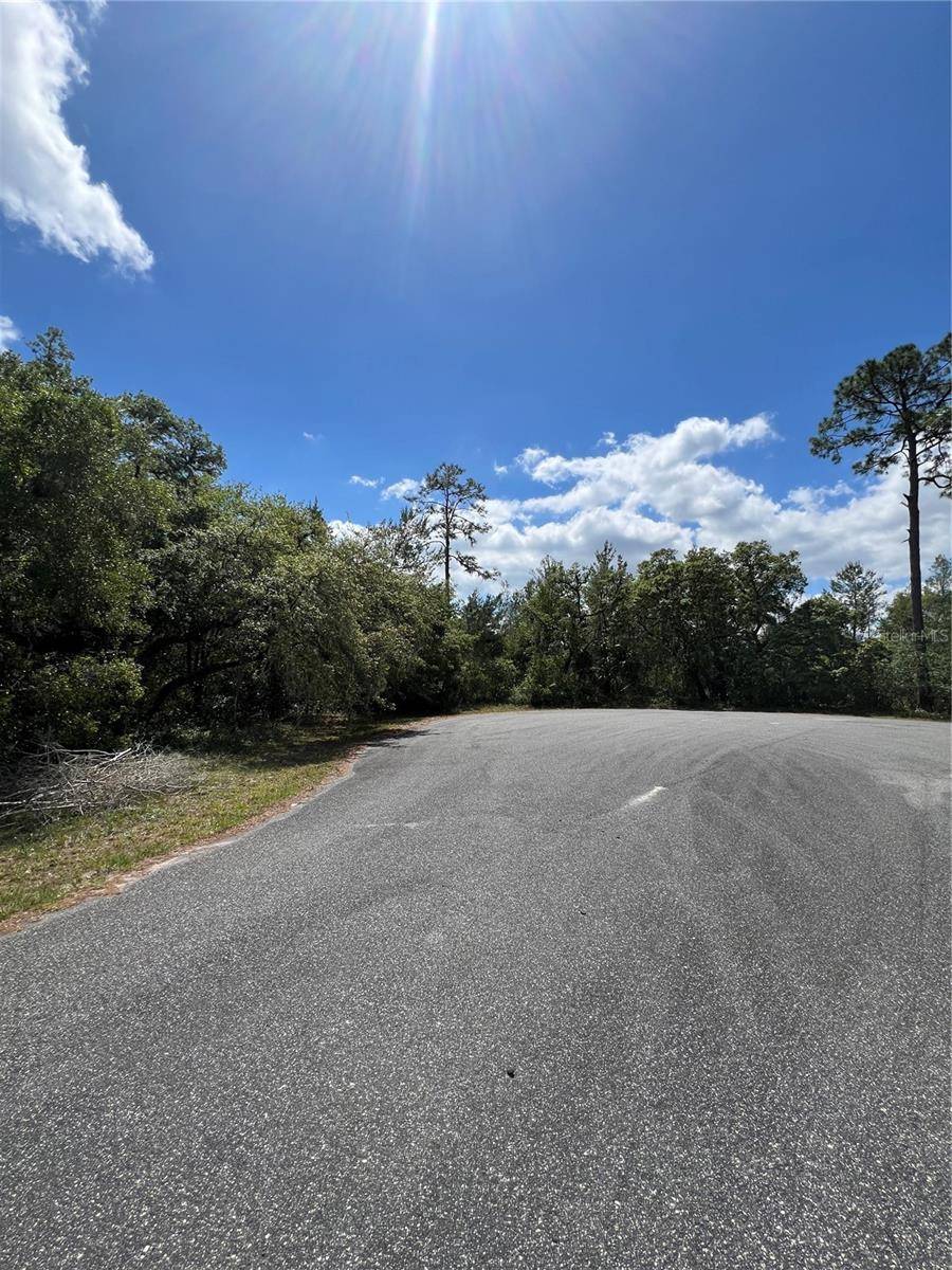 FLAG ST, Eustis, FL 32736