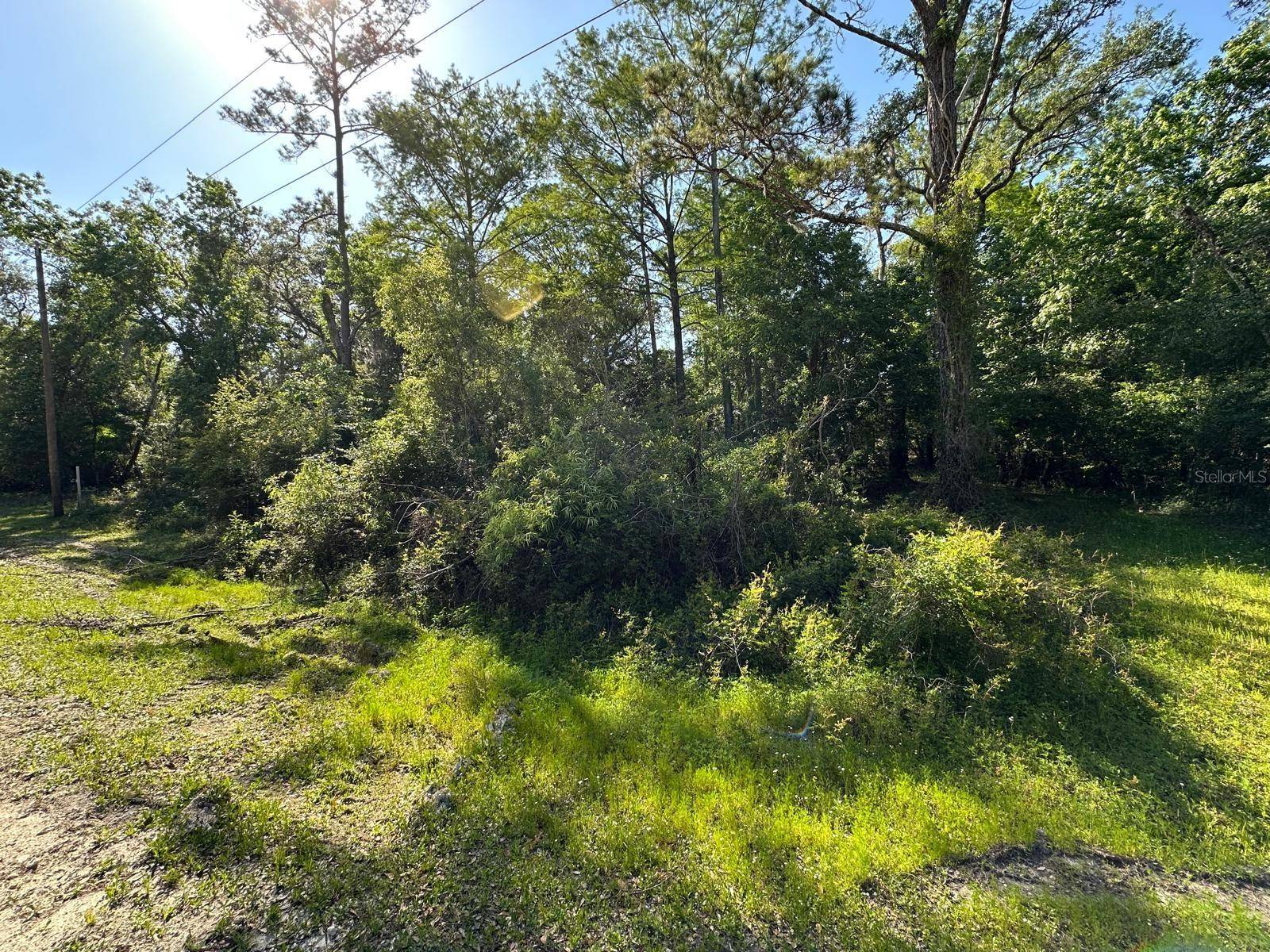 Webster, FL 33597,33053 SMALLMAN ST