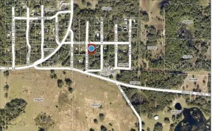 Paisley, FL 32767,25040 E AVENUE B