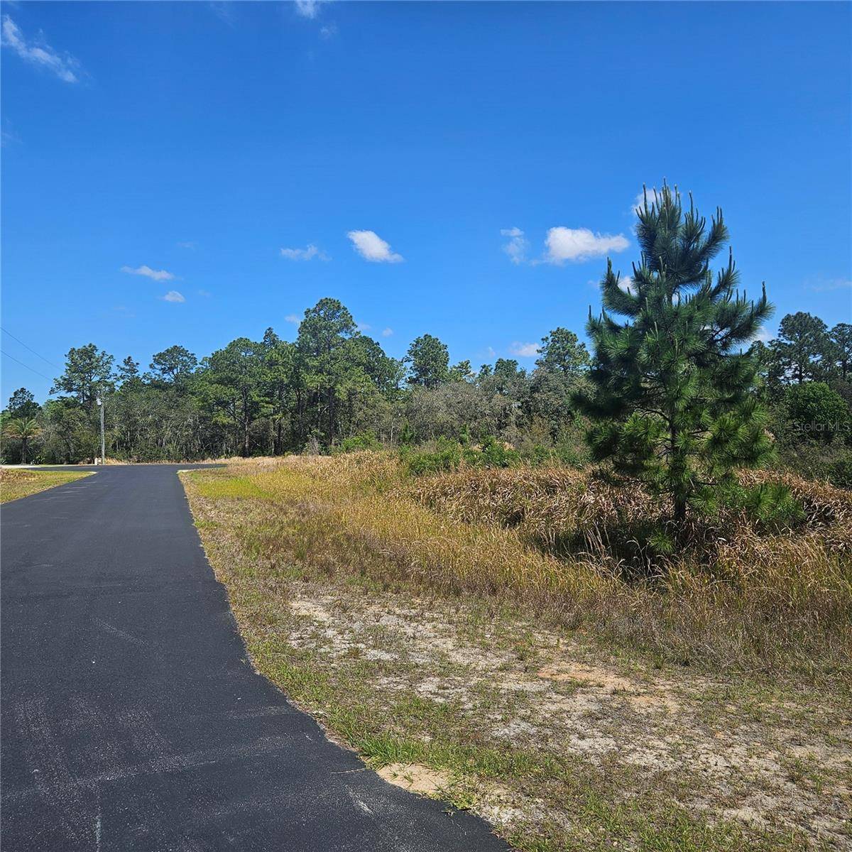 Clermont, FL 34714,1836 HILOCHEE RIDGE RD