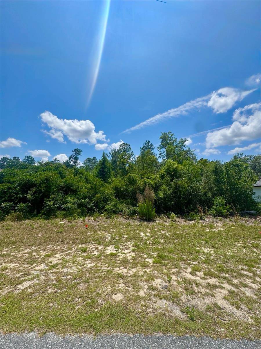 0 SW 131ST PLACE RD, Ocala, FL 34473