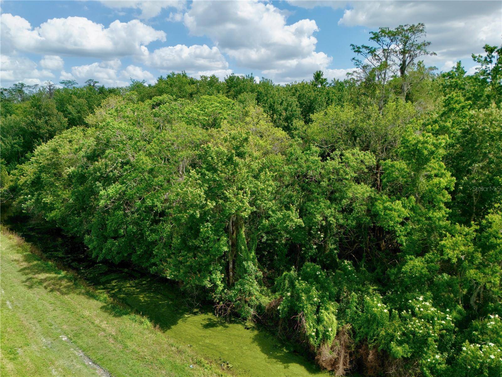 St Cloud, FL 34772,HICKORY TREE ROAD