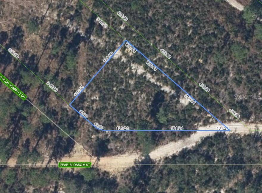 Sebring, FL 33876,6115 PEAR BLOSSOM ST