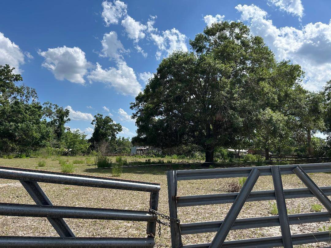 Land O Lakes, FL 34639,23046 BRANDY RD