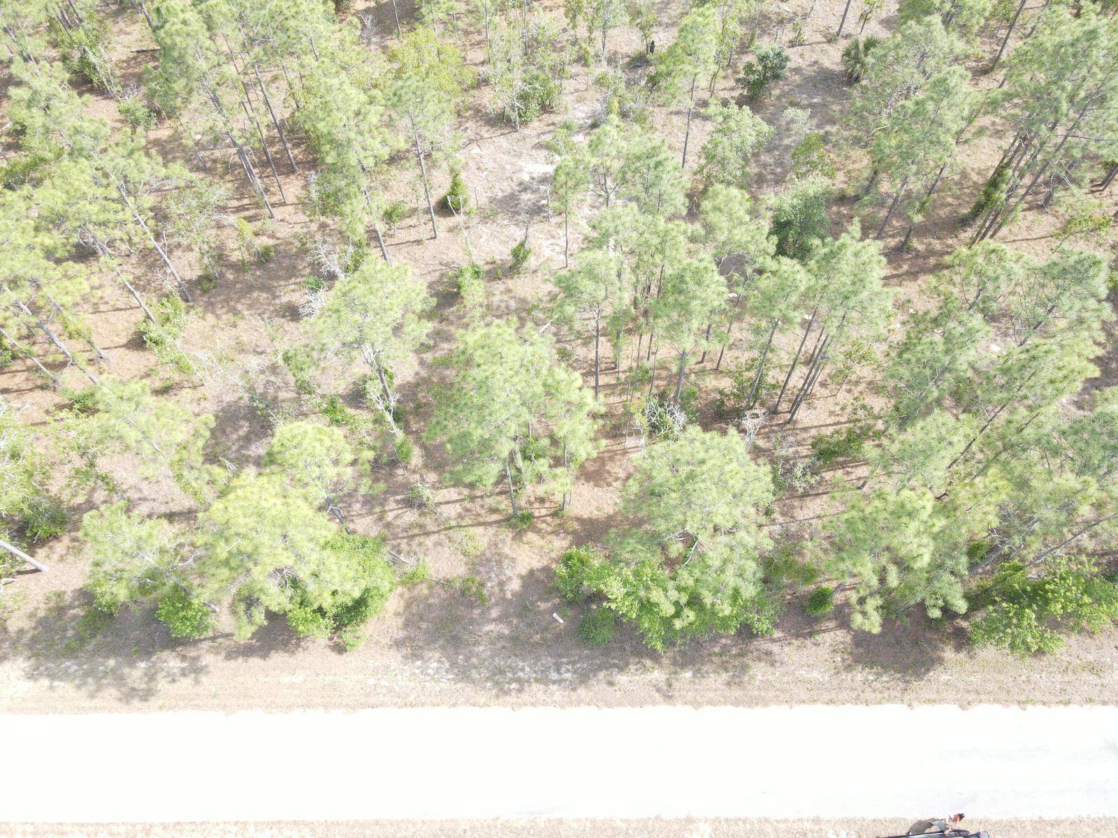 Dunnellon, FL 34431,Lot 20 NW SHAMROCK AVE