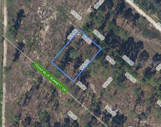 Sebring, FL 33876,6139 TEXAS BLUE BONNETT DR