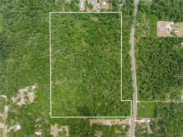 Old Town, FL 32680,NE 389TH AVE