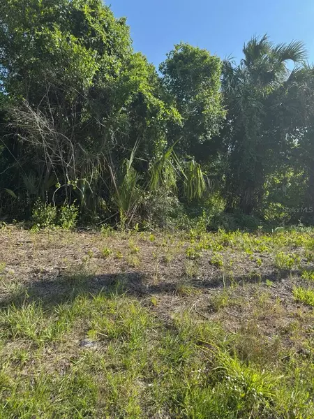 431 BIRCH BLVD, Georgetown, FL 32139