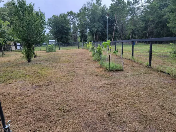 Paisley, FL 32767,41940 PINE VALLEY DR