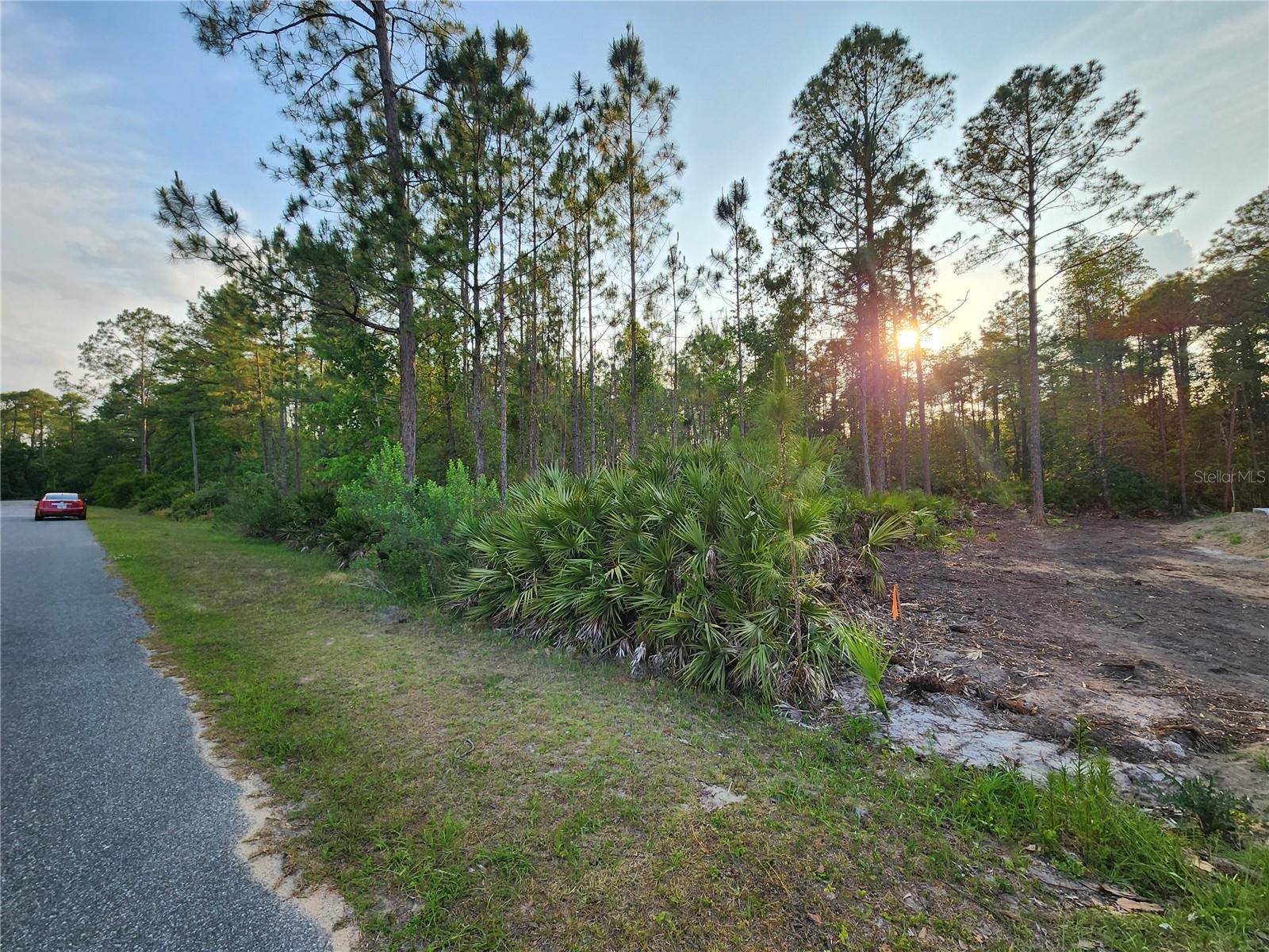 Eustis, FL 32736,LOT 8 TAMARAC ST