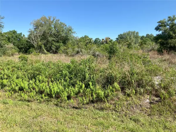 17763 NW 278 ST, Okeechobee, FL 34972