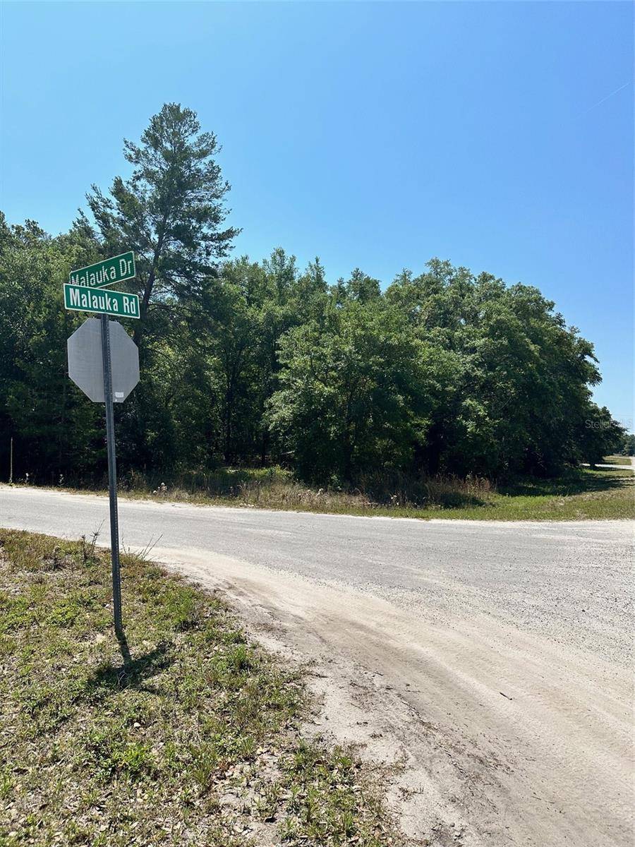 TBD MALAUKA RD, Ocklawaha, FL 32179