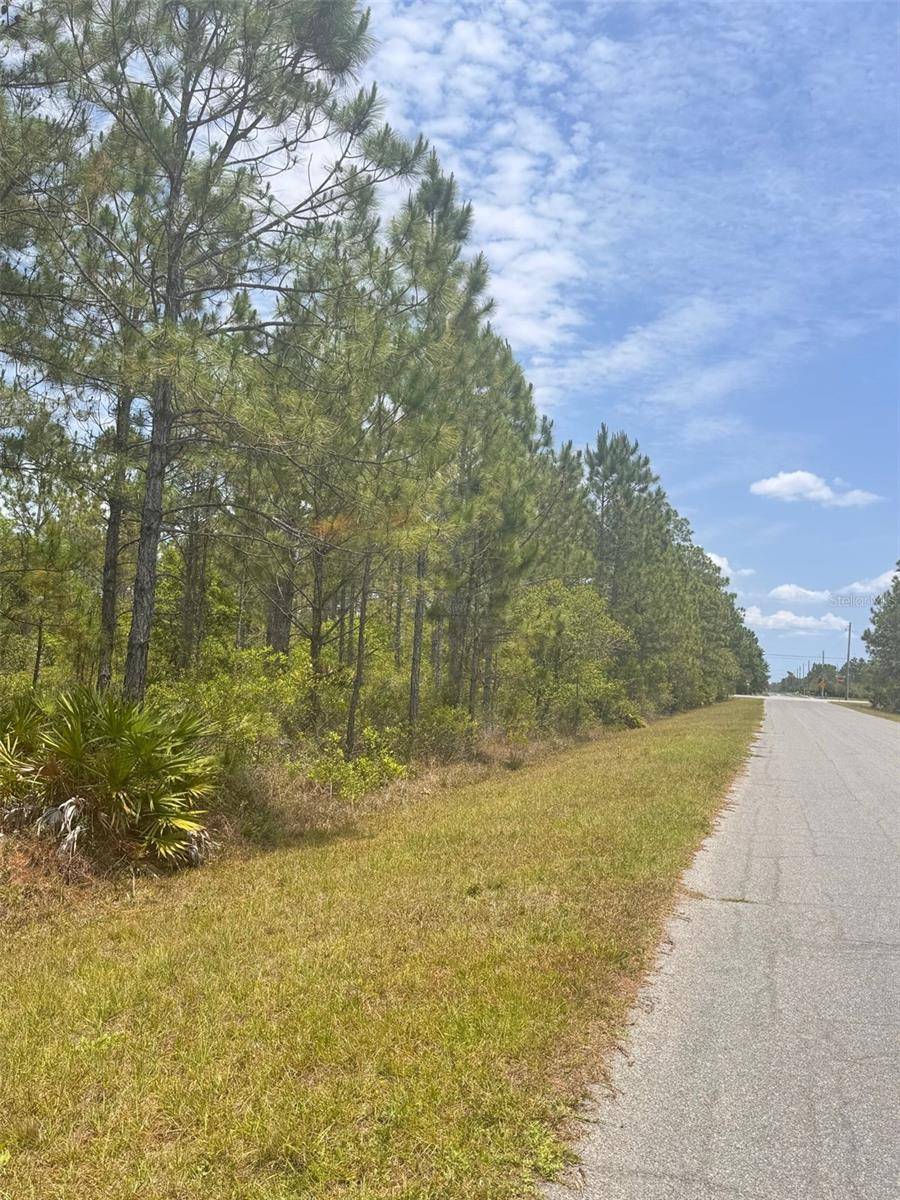 00 ORTEGA ST, Orlando, FL 32833