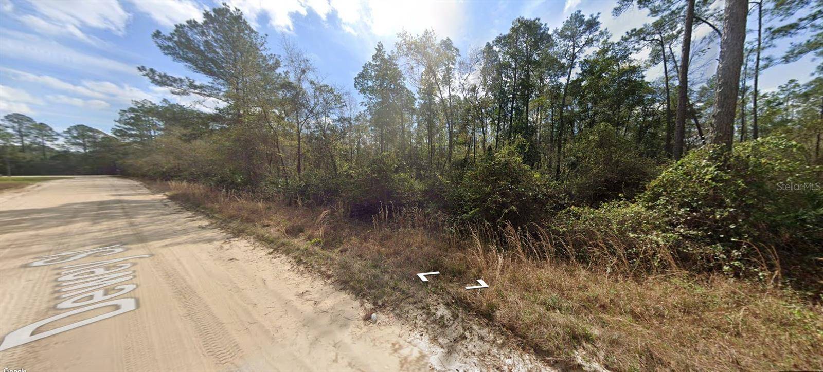 Interlachen, FL 32148,BLOCK 246 LOT 3