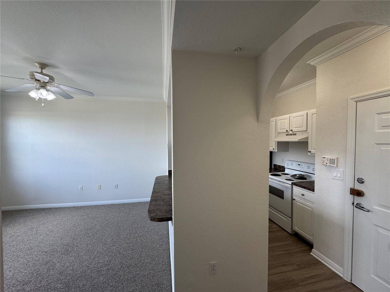 Orlando, FL 32801,911 N ORANGE AVE #545