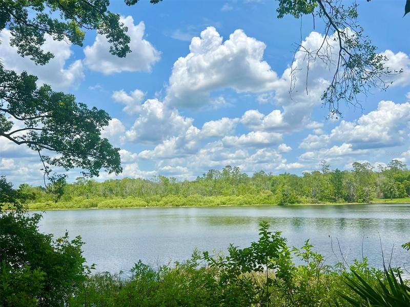 VISTA ST, Lake Helen, FL 32744