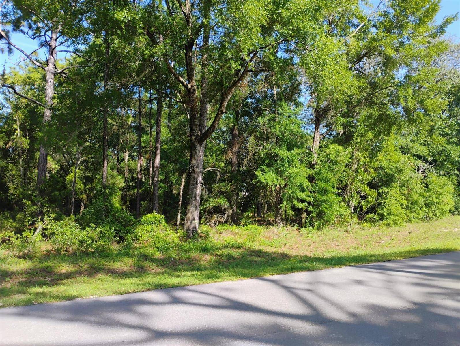 0 11 ST, Williston, FL 32696